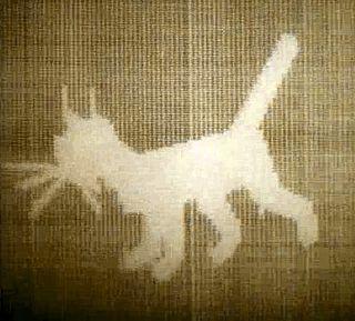 Из-за того что один математик сидел в психушке, эту кошку пришлось делить между институтами. Фото 2 