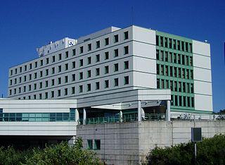 Крупнейший в мире фестиваль тюльпанов — память о рождении нидерландской принцессы в Оттавской городской больнице. Фото 1 