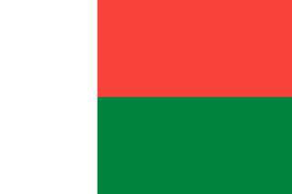 Мадагаскарская «живая ветка» питается малиной и дубами. Фото 1 