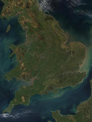 «Мохнатый шмель» прилетел в Россию с берегов туманного Альбиона. Фото 2 