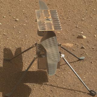 На Марсе была устроена засада для наблюдений за редкими птицами (на&nbsp;илл.). Фото 1 