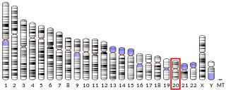 Объятие или прикосновение могут привести к выбросу окситоцина и снижению уровня гормонов стресса. Фото 1 