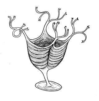 Окаменелость древнейшего животного, обладавшего мышцами, закон не позволил отправить в музей. Фото 2 