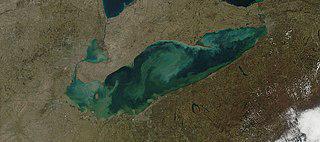 Половина фосфоросодержащих веществ, приносимых в озеро Эри его притоками, приходится всего на одну реку. Фото 2 