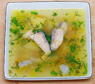 Пушкин рекомендовал варить уху из шабли. Фото 3 