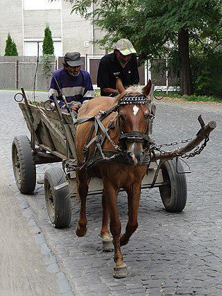 Цыгане из Закарпатья в XXI веке вынуждены выживать в трущобах. Фото 1 