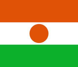 В состав республики Нигер входит султанат. Фото 1 