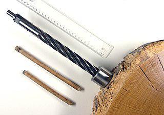 Время сооружения древнейшей мостовой Британии установлено с точностью до года. Фото 1 