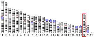 Белок, названный в честь бога металлургов, был открыт при изучении мышей, страдающих от нехватки железа. Фото 3 