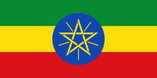 Боб Марли был похоронен с гитарой «Les Paul», футбольным мячом, Библией, кольцом (подарком эфиопского принца) и запасом марихуаны. Фото 4 