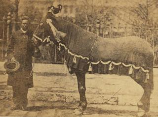 Для участия в похоронах Авраама Линкольна вновь призвали на службу его старого коня. Фото 2 