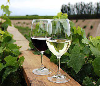 Классические варианты бокалов для французских вин различных регионов создал стеклопромышленник из Австрии. Фото 1 