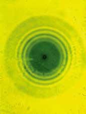 Наличие радиоактивных кристаллов в минерале можно обнаружить по микроскопическим шаровидным оболочкам. Фото 2 