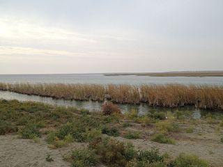 Около полувека назад на краю Каракумов остро стояла проблема затопления. Фото 2 