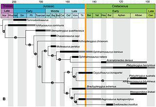 Открытие маленького динозавра из Венесуэлы укоротило линию призраков на 25 миллионов лет. Фото 3 