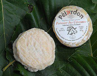 Пелардон считают древнейшим в Европе сыром, производимым из козьего молока. Фото 1 