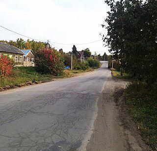 Пресноводных медуз можно обнаружить и в искусственном озере сибирского села. Фото 2 