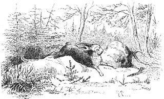 Русские писатели заменили рождественскую ёлку датского сказочника на берёзу и пальму. Фото 2 