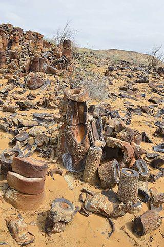 Среди песков Узбекистана таится лес из каменных деревьев вперемешку с останками акул, крокодилов и динозавров. Фото 6 