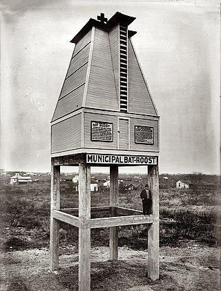 Техасский инфекционист конструировал антималярийные «скворечники» для летучих мышей (на илл.). Фото 1 