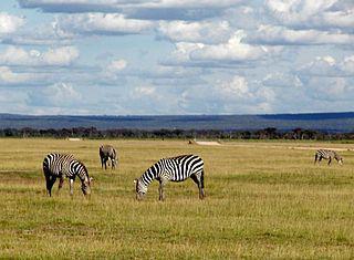 В бассейне заповедной американской реки сохранилась экосистема, присущая этому региону до появления европейских поселенцев. Фото 1 