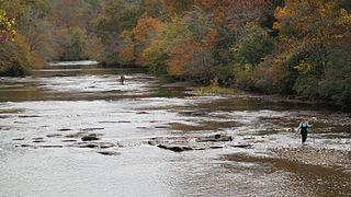 В бассейне заповедной американской реки сохранилась экосистема, присущая этому региону до появления европейских поселенцев. Фото 2 