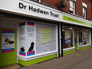 В качестве замены сотням мышей предлагается трёхмерная модель женской груди. Фото 1 