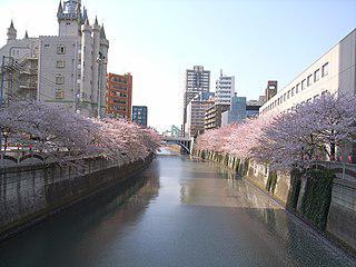 В Японии в «отели любви» приходят со своим партнёром. Фото 1 