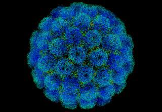 Вакцины от полиомиелита, применявшиеся в соцстранах, Китае, Японии, Африке до 1980 года, могли быть заражены вирусом SV40. Фото 3 