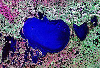 Второе по площади озеро Таймыра имеет в бассейне более 50 озёр. Фото 1 