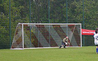 Английский голкипер простоял на воротах четверть часа после остановки матча. Фото 1 