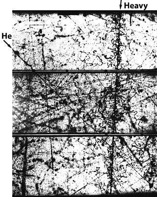 Для того чтобы проявить результаты четырёхдневного эксперимента, потребовалось два месяца. Фото 1 
