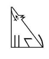 Единственный кинофестиваль, на котором призы вручаются животным, проводится в России. Фото 2 