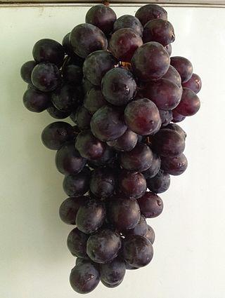 Европейцам непросто оценить всю красу узбекских девушек, прелести которых сравнили с чарасом. Фото 2 