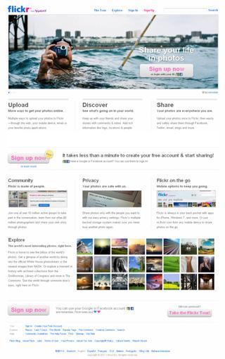 Фотосессия в сети Flickr помогла открыть новый для науки вид златоглазки. Фото 1 