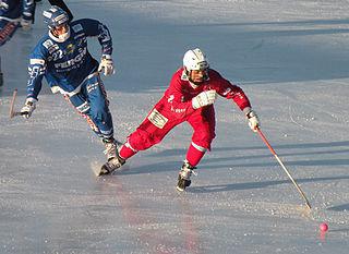 Молодёжный чемпионат по этому виду спорта проходит раз в 20 лет. Фото 2 