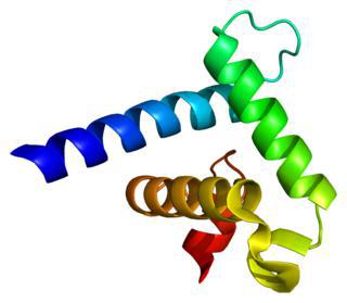 Мутации в этом гене вызывают синдром, приводящий к лицевым аномалиям. Фото 2 