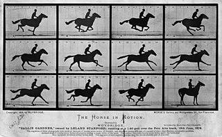 На фотосессии Салли Гарднер доказала, что в галопе полностью отрывает ноги от земли. Фото 1 