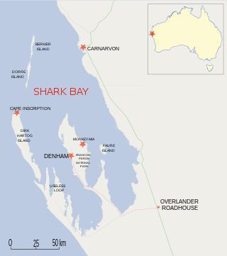 Оловянная тарелка Дерка Хартога, обнаруженная на острове его имени, — старейший европейский артефакт в австралийской истории. Фото 2 