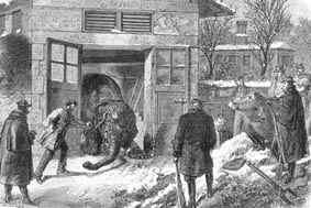 Парижане во время пятимесячной блокады дошли до того, до чего ленинградцы не опустились за 900 дней и ночей. Фото 1 