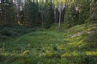 Пять «могил» в эстонской земле вырыли метеориты. Фото 3 