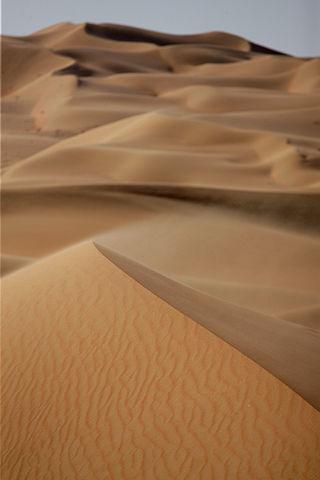 «Разрывающая» тело окраска ангела даёт учёным пищу для размышлений. Фото 2 