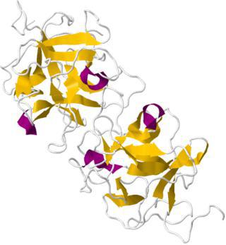 С помощью «волшебного» белка кислую пищу можно превратить в сладкую. Фото 1 
