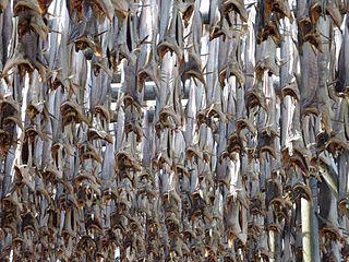 Смешав сушёную рыбу с кокосом, вы получите начинку для яванской долмы (на илл.). Фото 1 