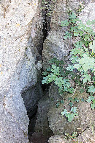 Спартанцы сбрасывали в пропасть не новорождённых, а взрослых. Фото 2 