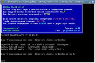 Споры о том, играл ли величайший аркадный игрок всех времён (на илл.) на аркадном автомате или эмуляторе, вылились в несколько судебных исков. Фото 2