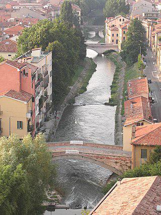 Старейшие в Европе экземпляры магнолии и гинкго растут в Падуе. Фото 3 