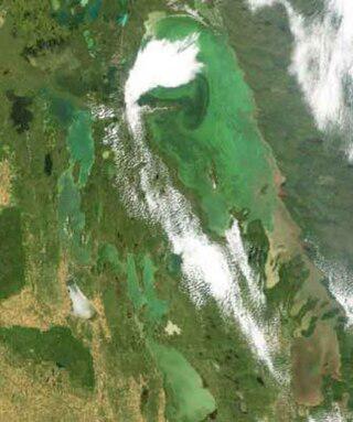 Сын политика-пьяницы помог принять сухой закон в своей провинции. Фото 1 