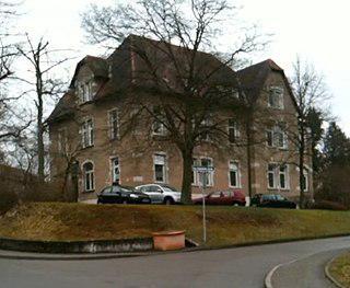 Уже сорок лет существует проект помощи больным шизофренией с минимальным применением медикаментов. Фото 1