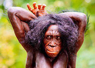 В 2008 году 9-летний мальчик обнаружил вид австралопитека. Фото 1 